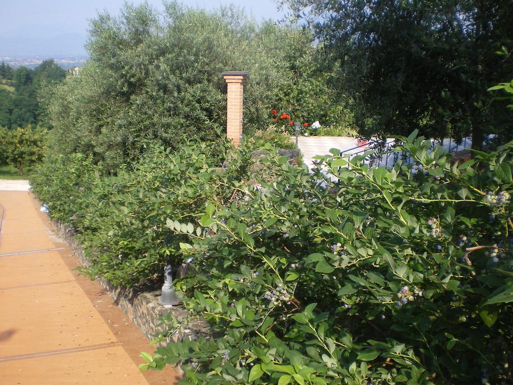 Tenuta Fortelongo Fara Vicentino Exteriér fotografie
