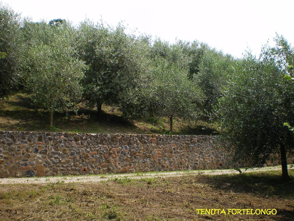 Tenuta Fortelongo Fara Vicentino Exteriér fotografie