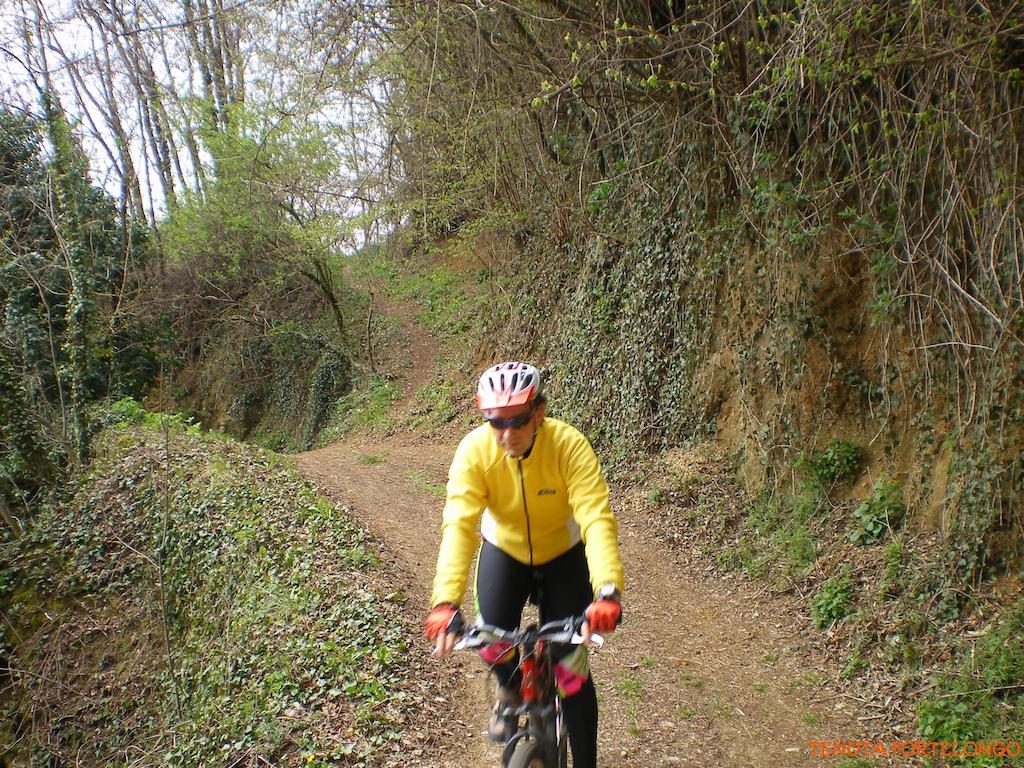 Tenuta Fortelongo Fara Vicentino Exteriér fotografie