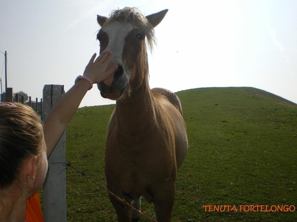 Tenuta Fortelongo Fara Vicentino Exteriér fotografie